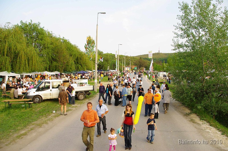 varosi_majalis_eletkepek_2010_277.jpg