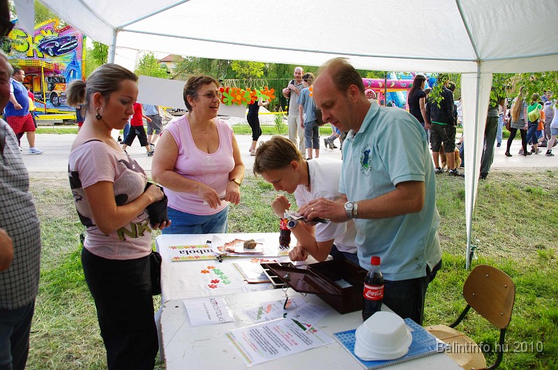 varosi_majalis_eletkepek_2010_284.jpg