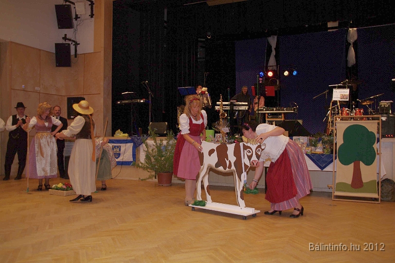 torokbalinti_svab_bal_2012_038.jpg