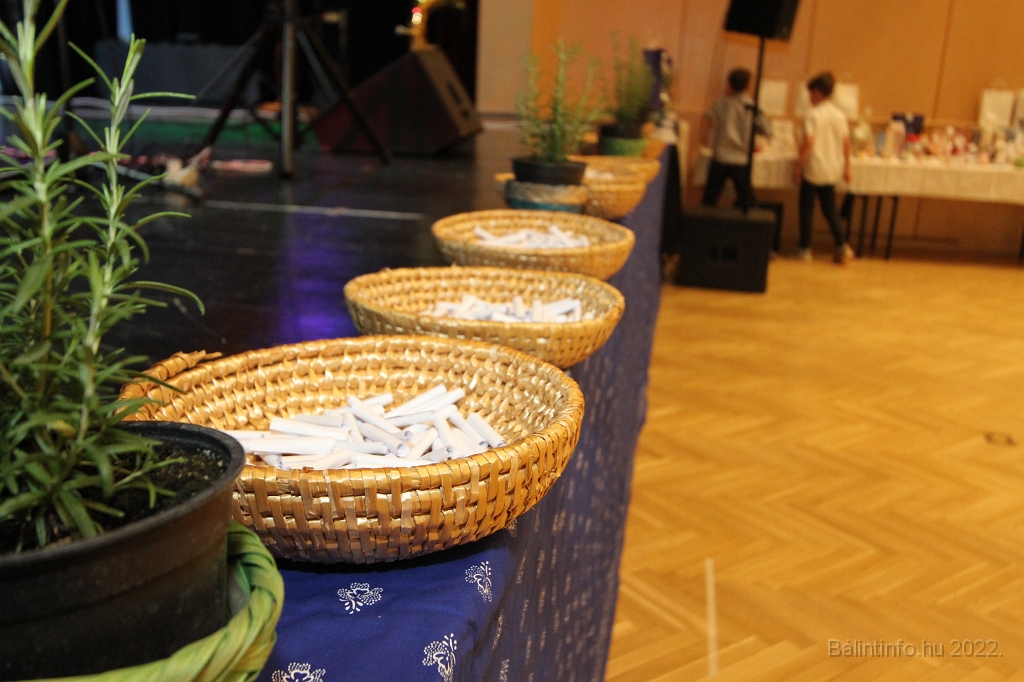torokbalint_svab_bal_2022_0030.jpg