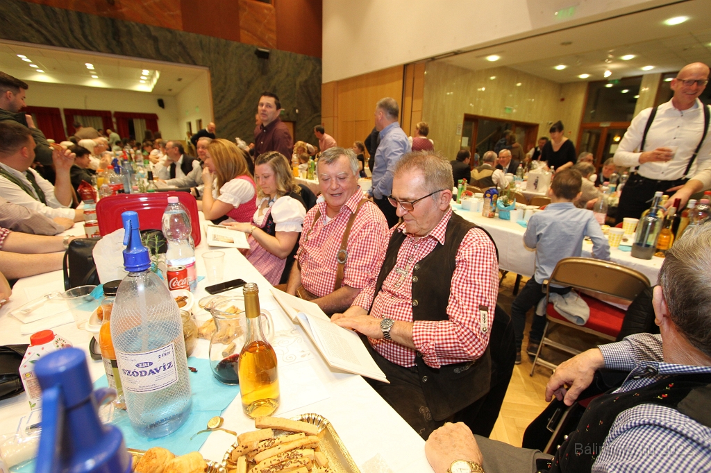 torokbalint_svab_bal_2022_0116.jpg