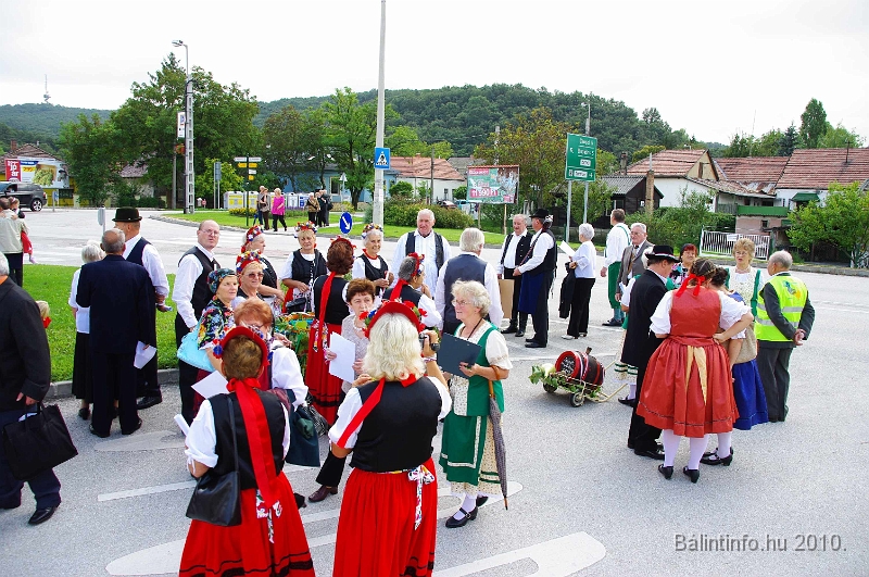 szureti_felvonulas_2010_014.jpg