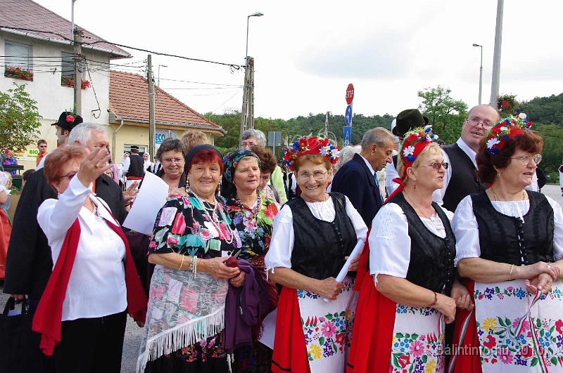 szureti_felvonulas_2010_017.jpg