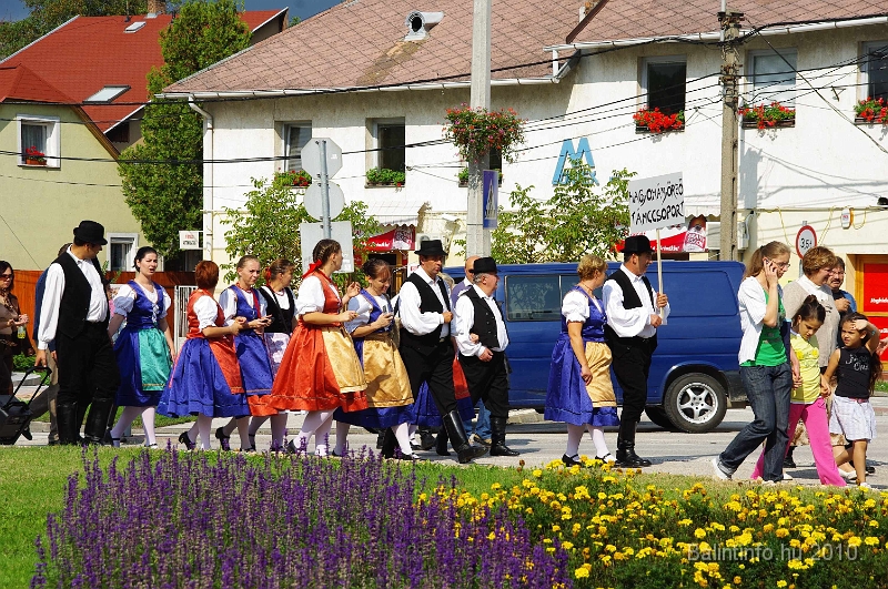 szureti_felvonulas_2010_040.jpg