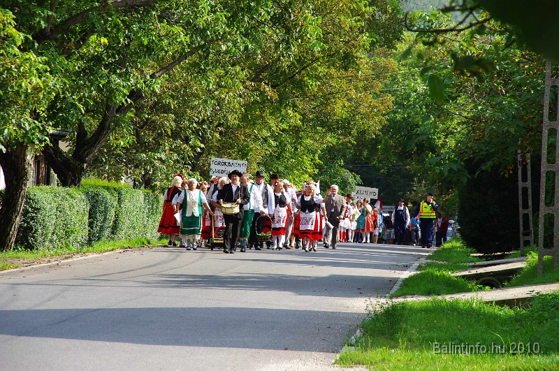 szureti_felvonulas_2010_043.jpg