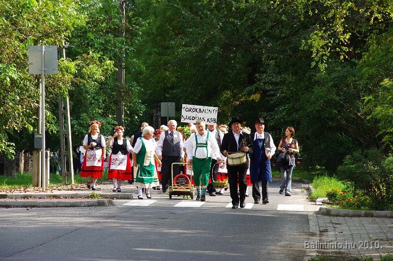 szureti_felvonulas_2010_048.jpg