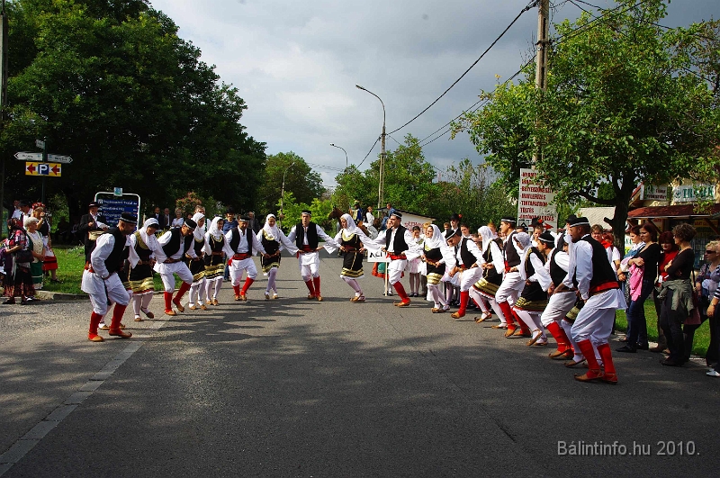 szureti_felvonulas_2010_079.jpg