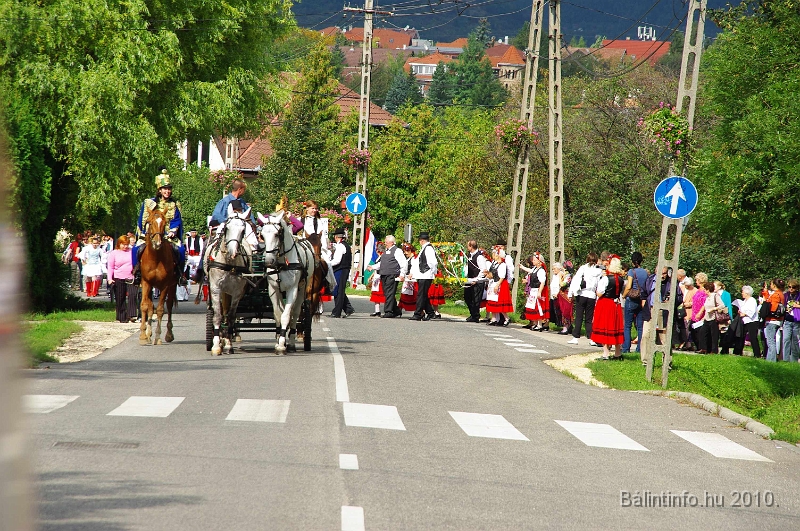szureti_felvonulas_2010_083.jpg