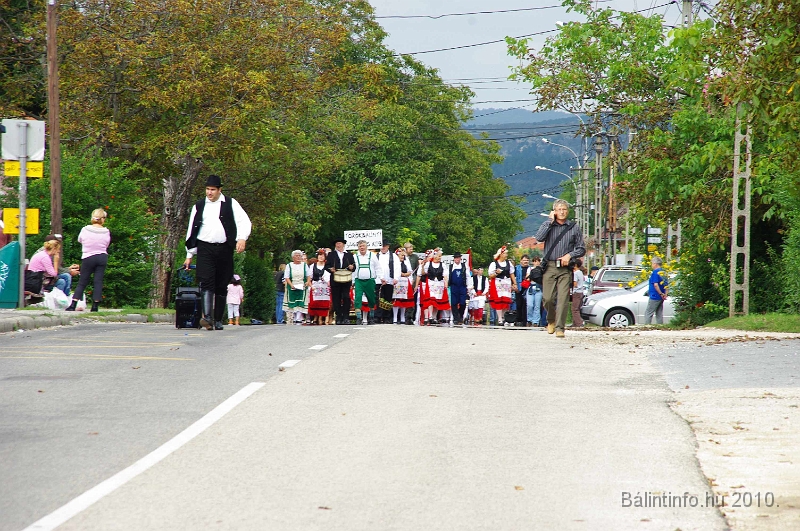 szureti_felvonulas_2010_084.jpg