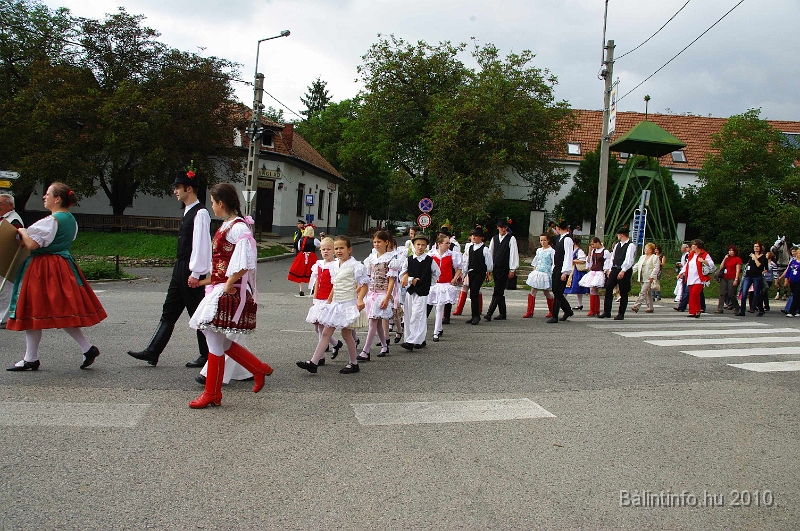 szureti_felvonulas_2010_086.jpg