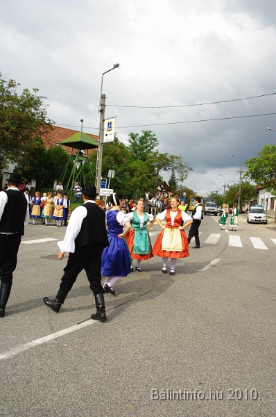 szureti_felvonulas_2010_109.jpg