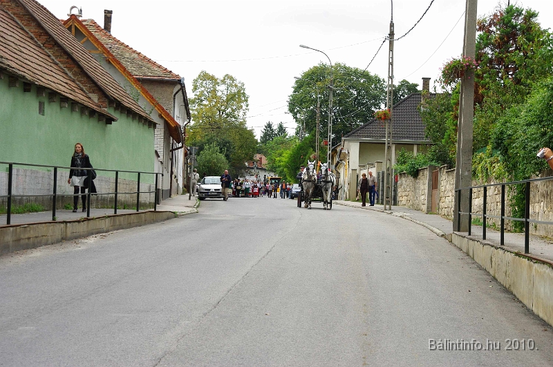szureti_felvonulas_2010_121.jpg