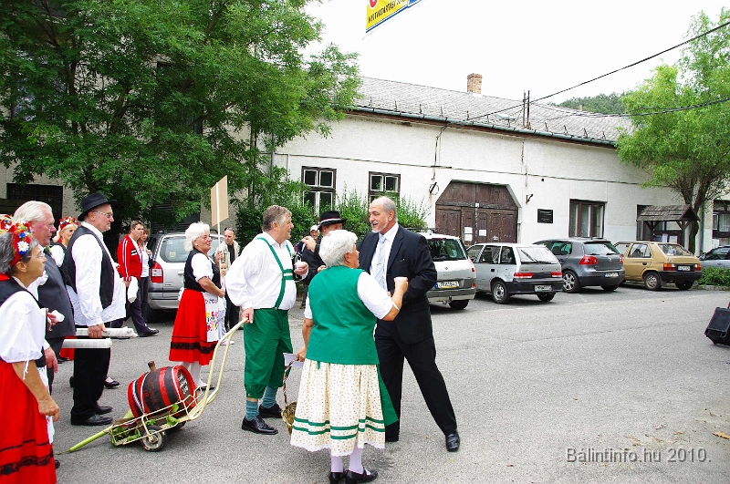 szureti_felvonulas_2010_146.jpg