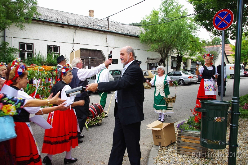 szureti_felvonulas_2010_148.jpg