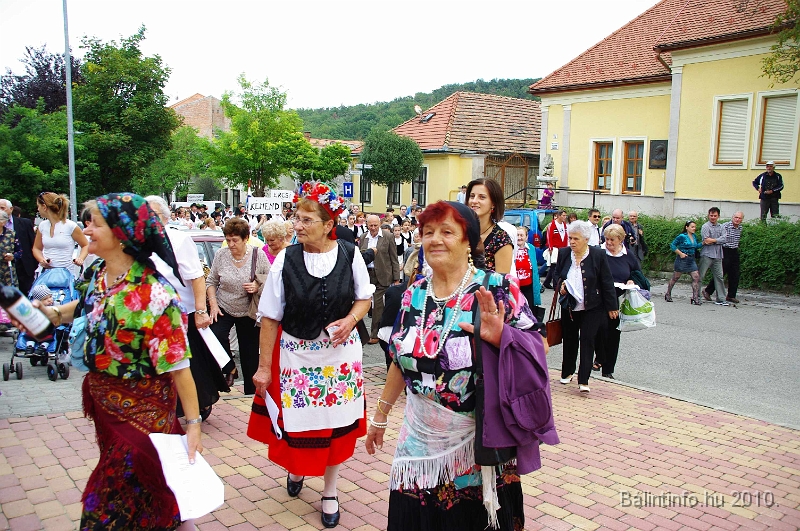 szureti_felvonulas_2010_156.jpg