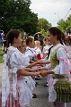 szureti_felvonulas_2010_065