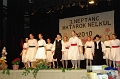 szureti_felvonulas_2010_214
