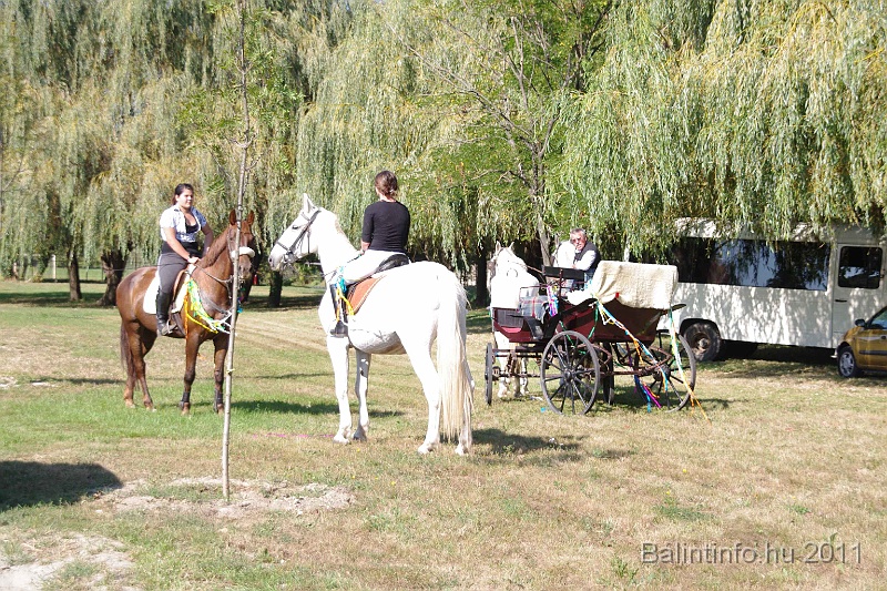 szureti_felvonulas_2011_006.jpg