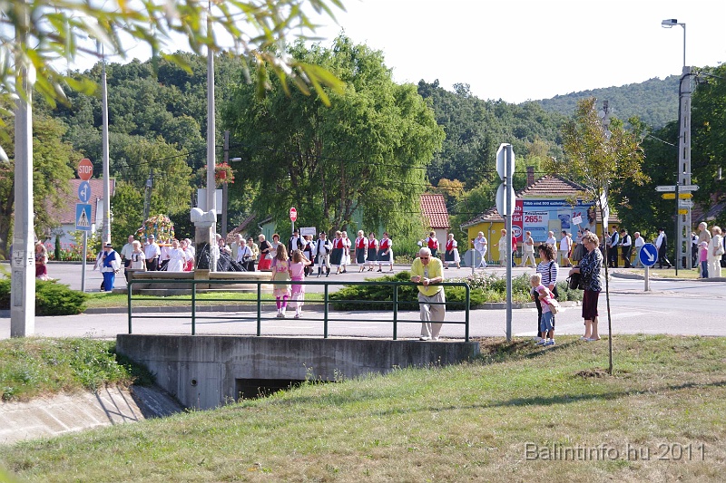 szureti_felvonulas_2011_008.jpg