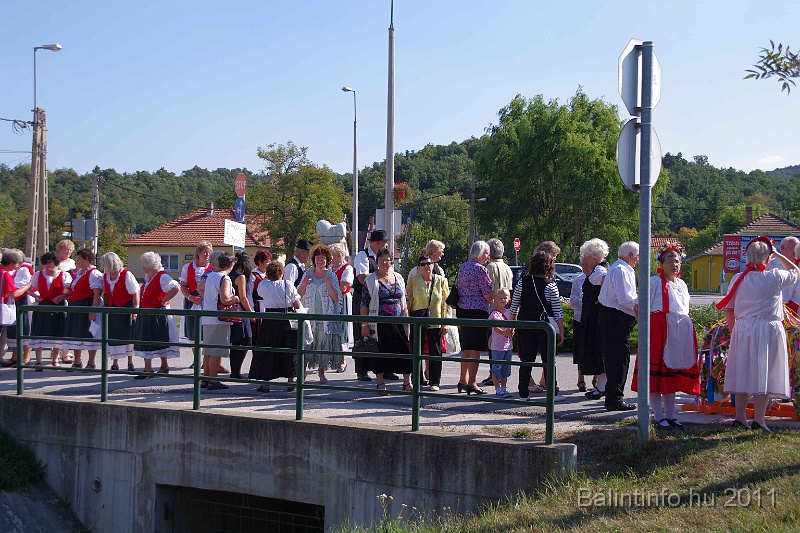 szureti_felvonulas_2011_009.jpg
