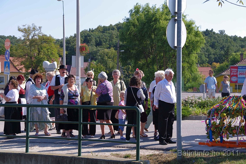 szureti_felvonulas_2011_013.jpg