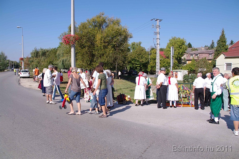 szureti_felvonulas_2011_016.jpg