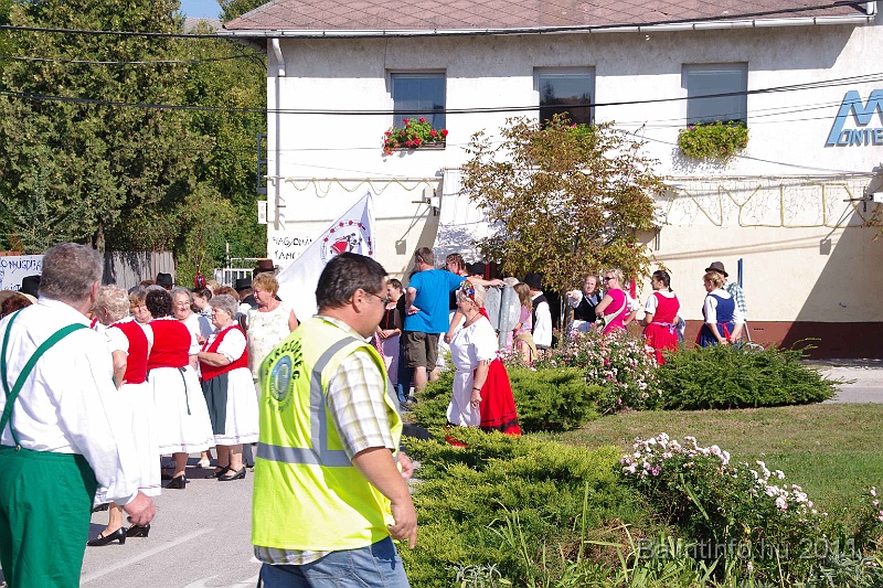 szureti_felvonulas_2011_018.jpg