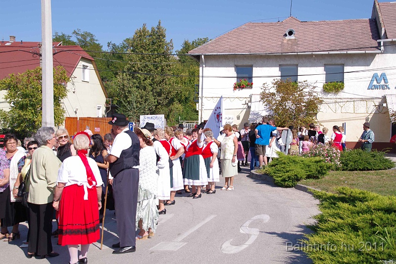 szureti_felvonulas_2011_020.jpg