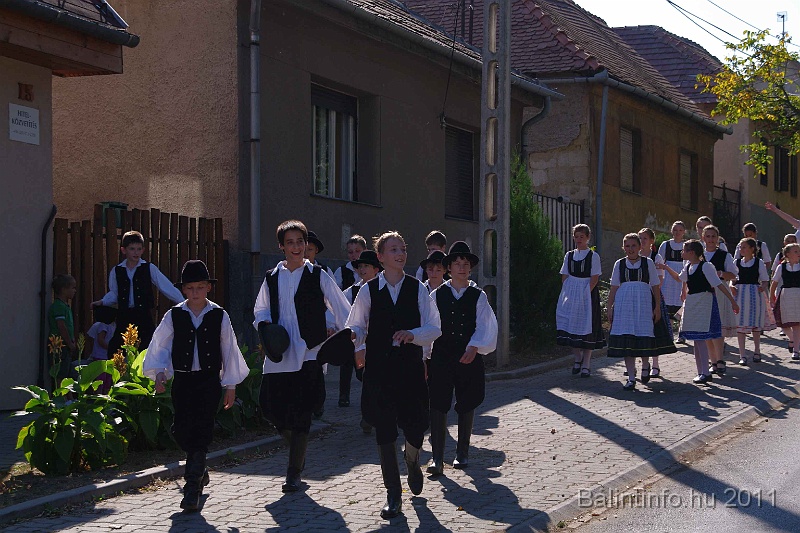 szureti_felvonulas_2011_026.jpg