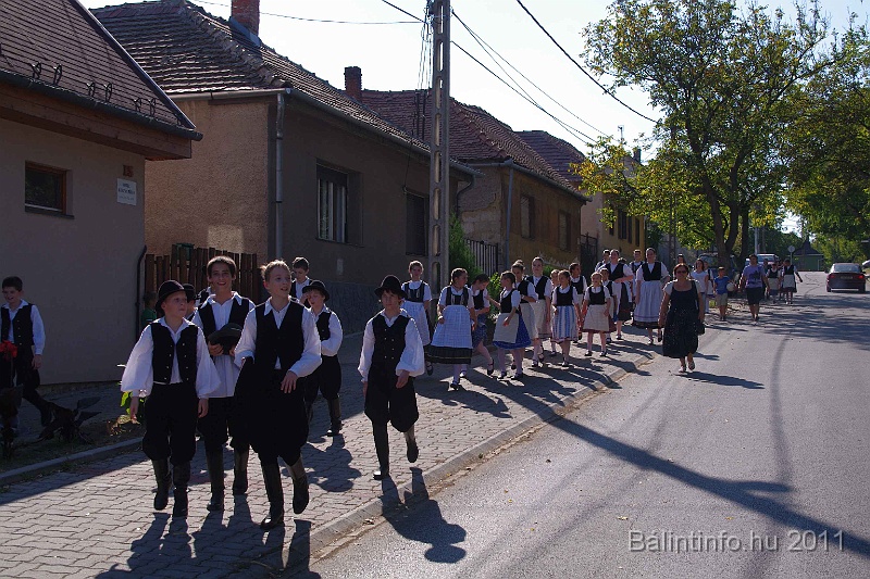 szureti_felvonulas_2011_027.jpg