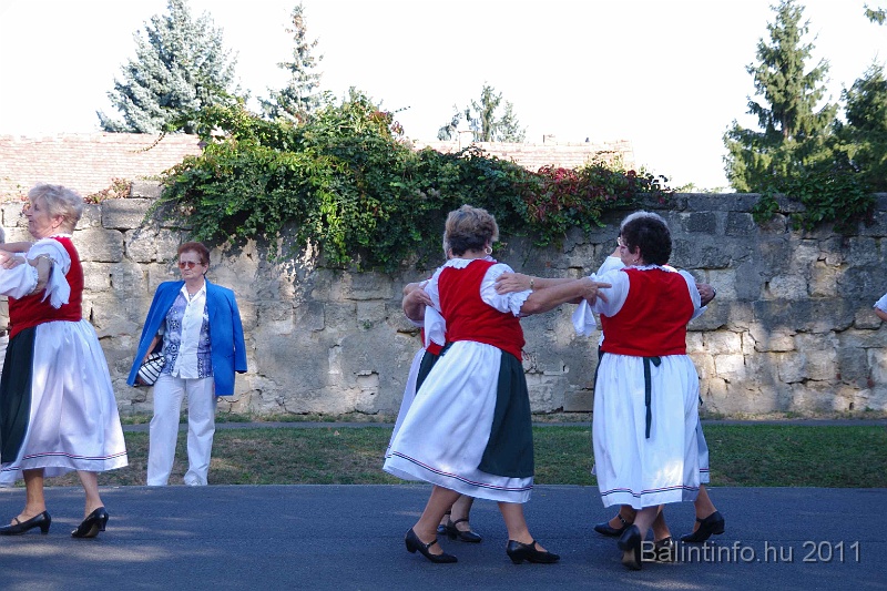 szureti_felvonulas_2011_032.jpg