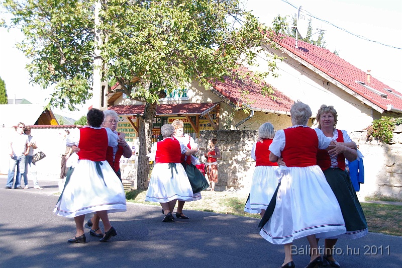 szureti_felvonulas_2011_038.jpg
