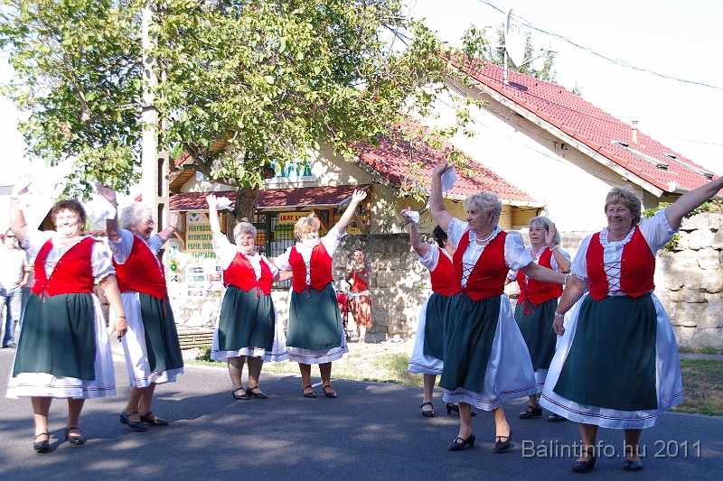 szureti_felvonulas_2011_039.jpg