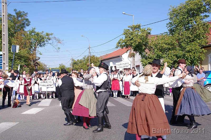 szureti_felvonulas_2011_047.jpg