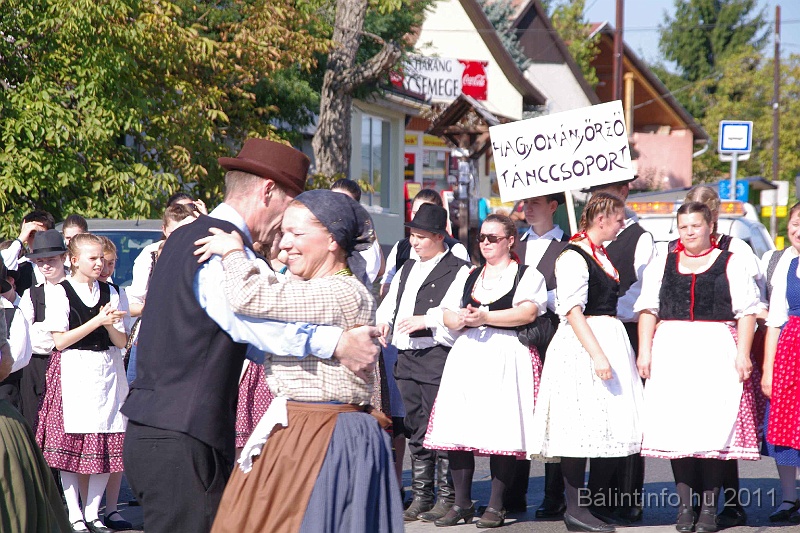 szureti_felvonulas_2011_063.jpg