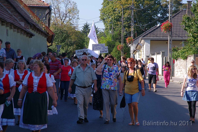 szureti_felvonulas_2011_070.jpg