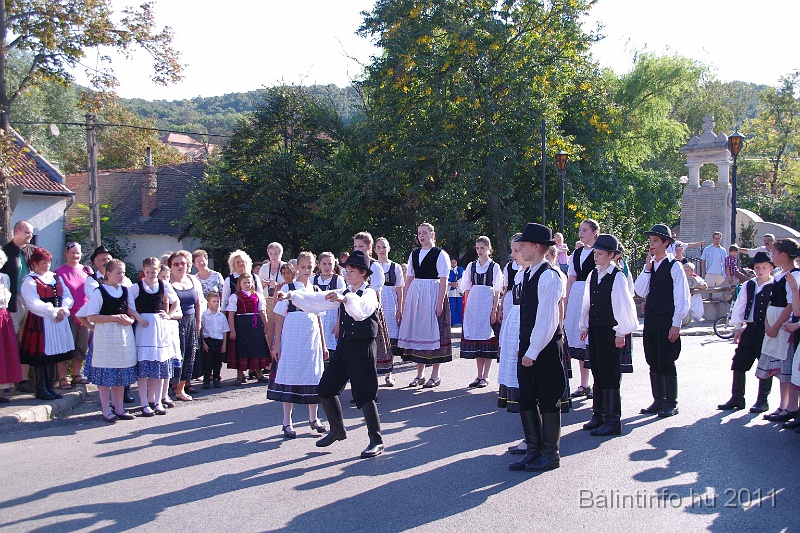szureti_felvonulas_2011_076.jpg