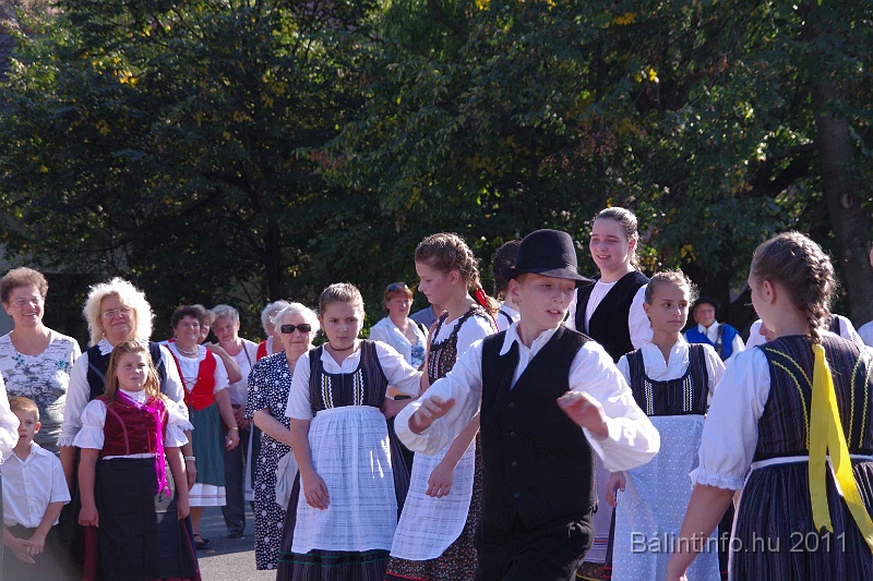 szureti_felvonulas_2011_084.jpg
