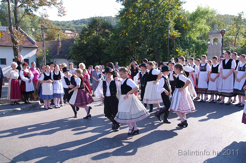 szureti_felvonulas_2011_088.jpg