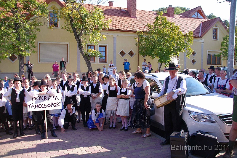 szureti_felvonulas_2011_099.jpg