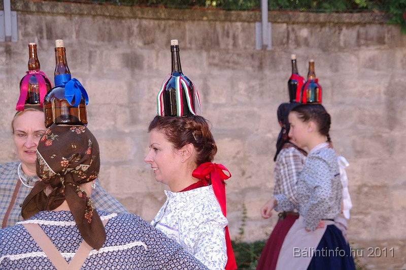szureti_felvonulas_2011_118.jpg
