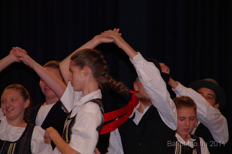 szureti_felvonulas_2011_139.jpg