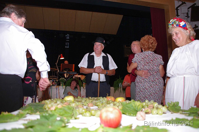 szureti_felvonulas_2011_198.jpg