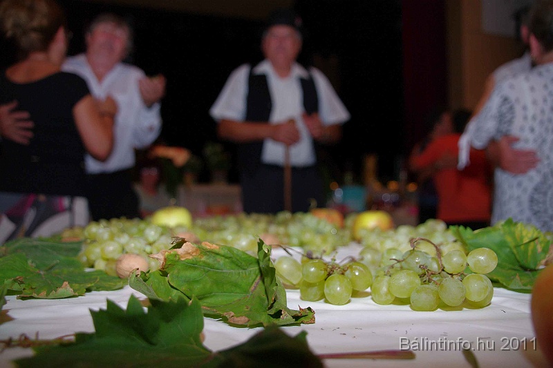 szureti_felvonulas_2011_202.jpg