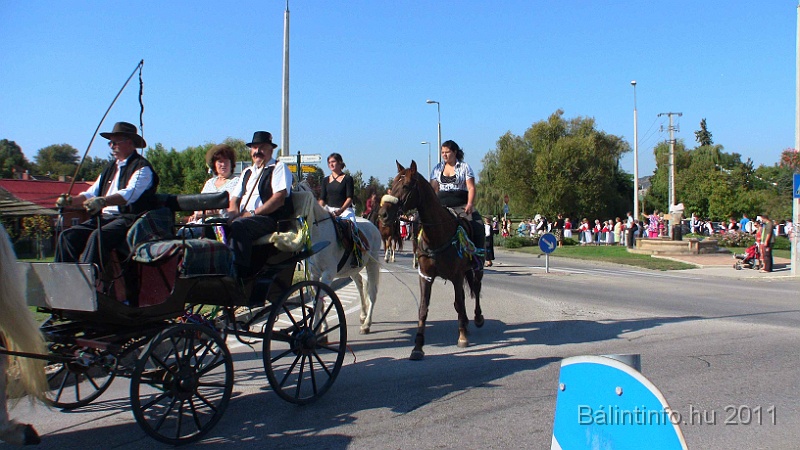 szureti_felvonulas_2011_237.jpg
