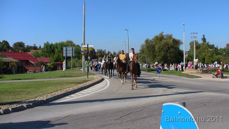 szureti_felvonulas_2011_238.jpg