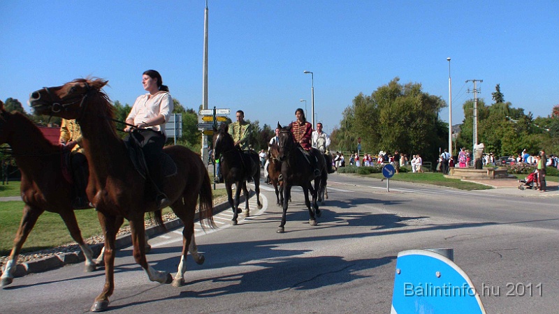 szureti_felvonulas_2011_239.jpg