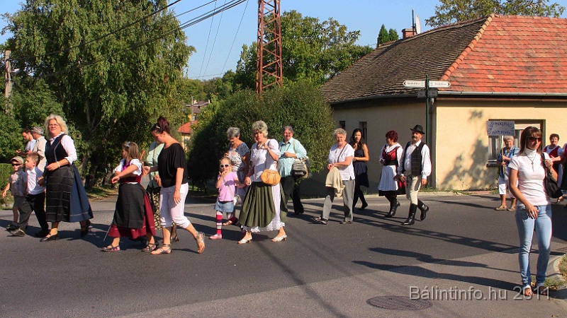 szureti_felvonulas_2011_244.jpg