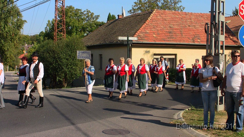 szureti_felvonulas_2011_245.jpg