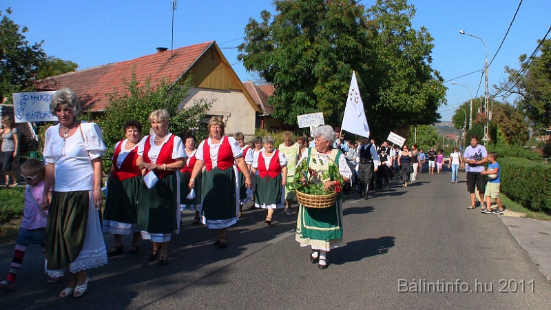 szureti_felvonulas_2011_253.jpg